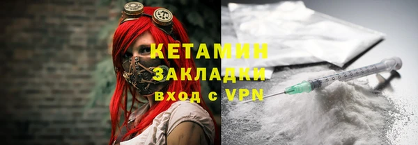 прущие грибы Киров