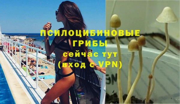 марки lsd Бородино