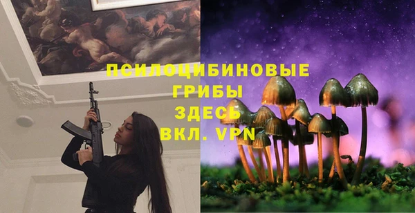 мдпв Беломорск