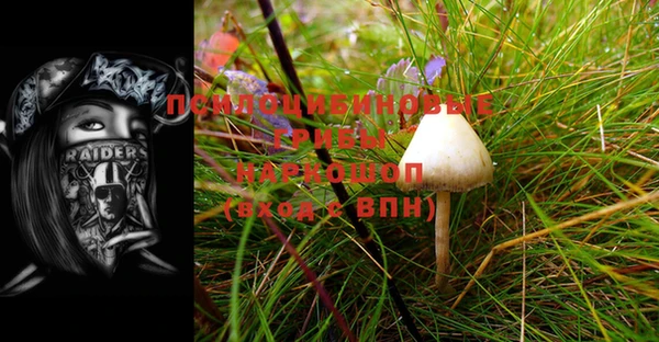 дурь Белоозёрский
