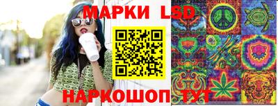 стаф Аргун