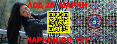 стаф Аргун