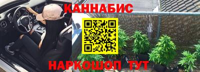 стаф Аргун