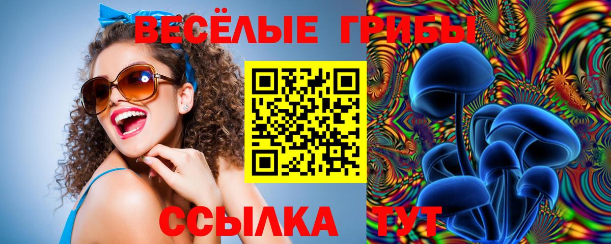 Псилоцибиновые грибы GOLDEN TEACHER Бор