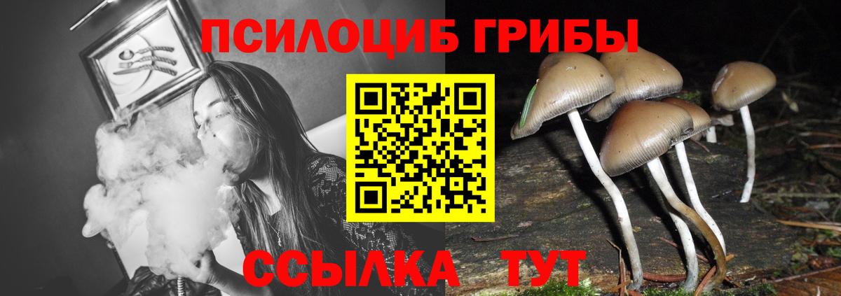 Бор  Галлюциногенные грибы прущие грибы  Вход с VPN  Галлюциногенные грибы прущие грибы 